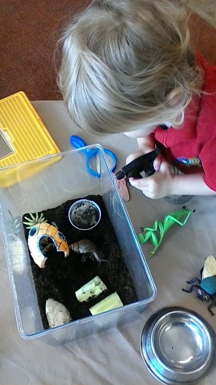 'Dottie' Our pet snail